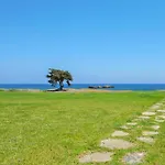 In Near The Kiotari