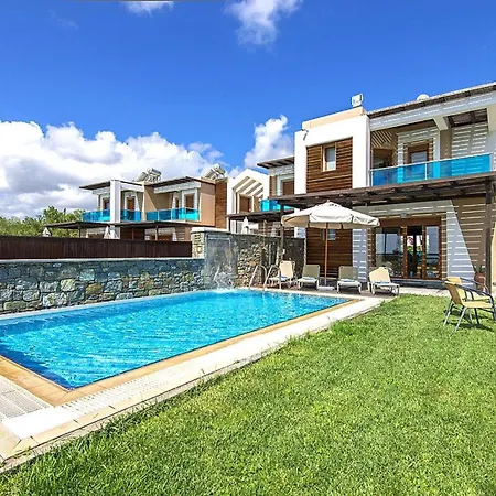 In Near The *
