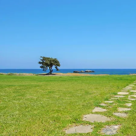 In Near The Κιοτάρι