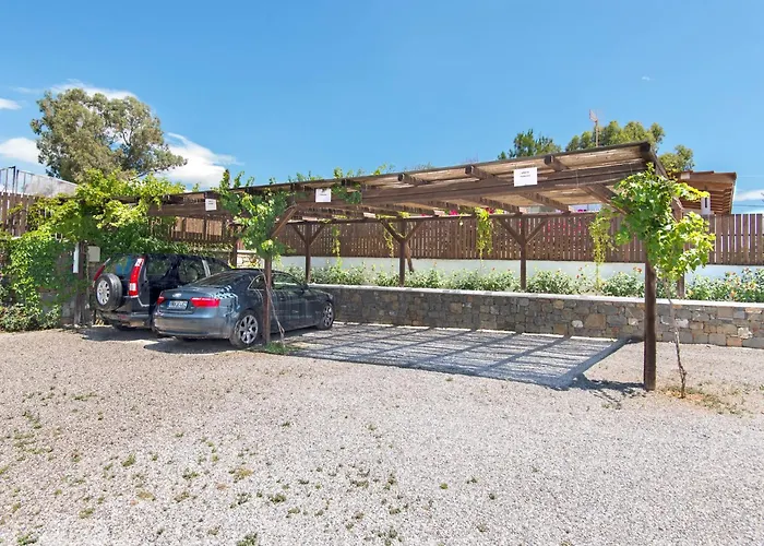 In Near The Tatil Evi