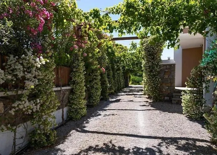 In Near The * 吉奥塔略